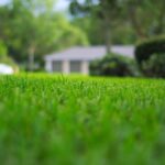 Leveling Uneven Ground in Your Backyard