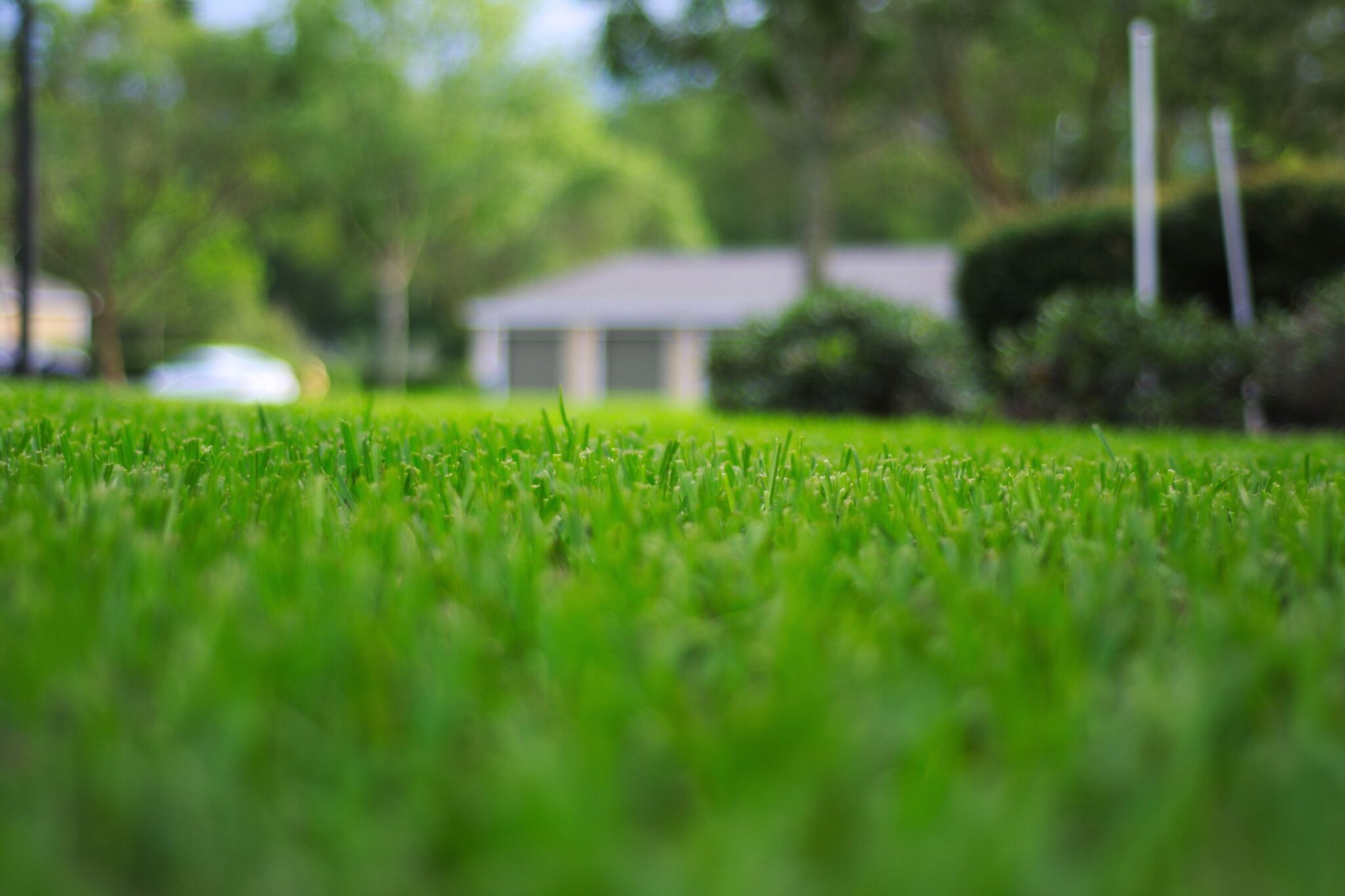 Leveling Uneven Ground in Your Backyard for Better Drainage and ...