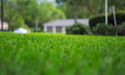 Leveling Uneven Ground in Your Backyard