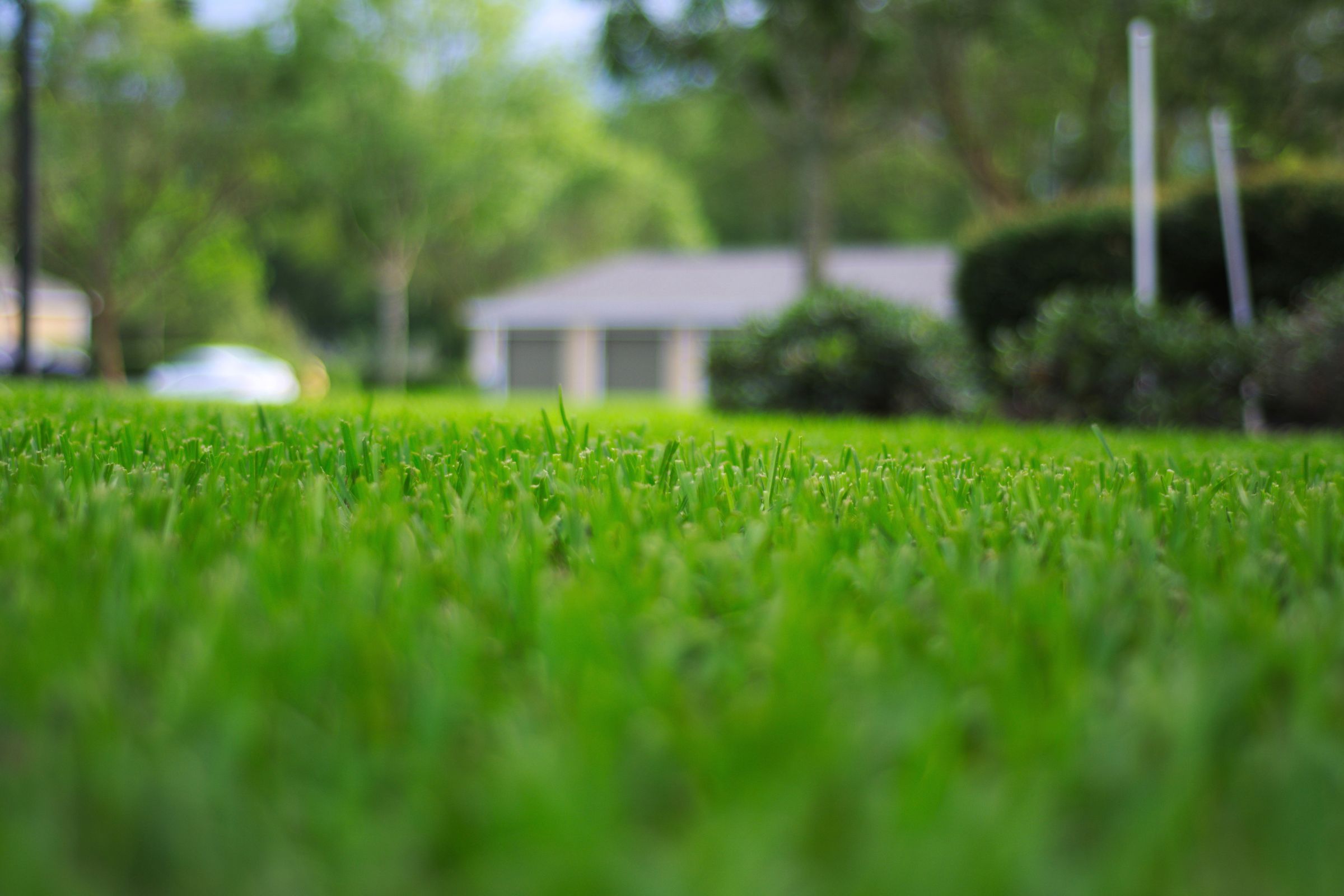 Leveling Uneven Ground in Your Backyard